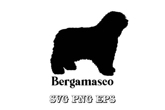 Bergamasco Silhouette