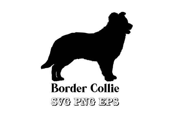 Border Collie Silhouette Dog Breed