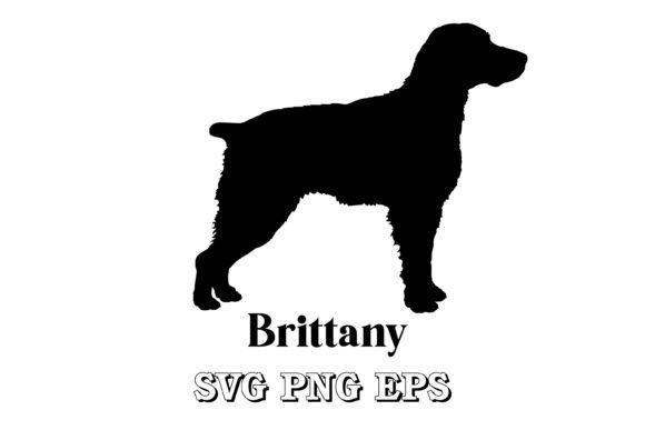 Brittany Silhouette Dog Breed