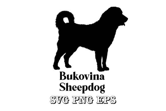 Bukovina Sheepdog Dog