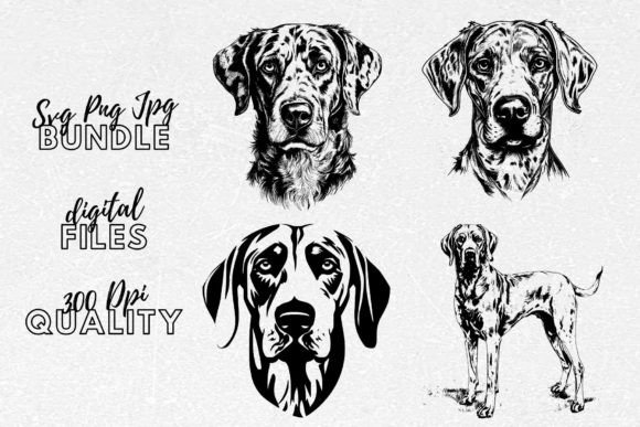Catahoula SVG Dog Clipart