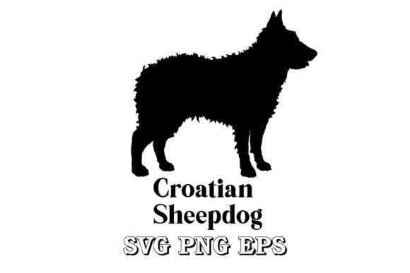 Croatian Sheepdog